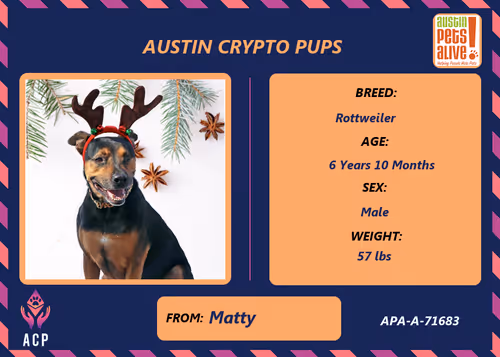 Item #17951378556605612276483806045649535824451571419947225201384628516149547499521 Media