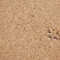 Rocky Sand 23