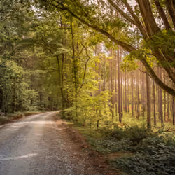 Open road to Nature