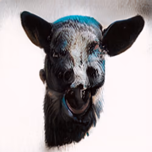 Item #110064969829225063713500301847050605951027642351507303119257848261502836932609 Media