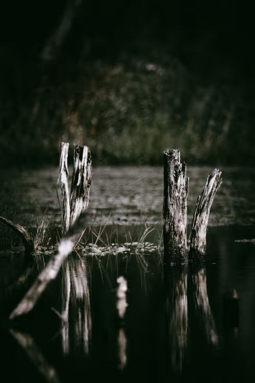 Item #46709965239587215851558087466762379659612403751449934923508460085804990988289 Media