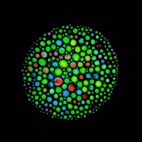 Haematopoiesis #121