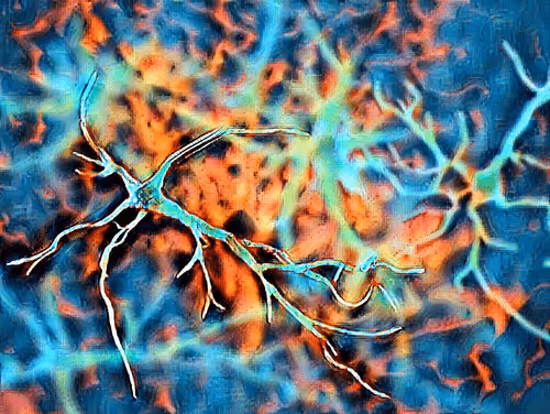 Item #44820903106987093458998790611995561527004783591399631822843358597238143057921 Media