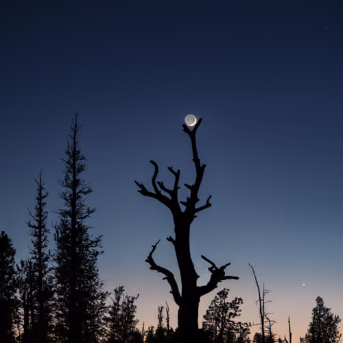 Earthshine #4