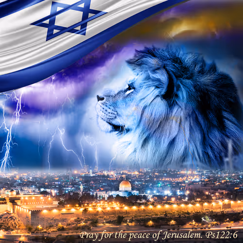 Item #71732972465139686878284147845951718227744772454694701869964799699462834356301 Media