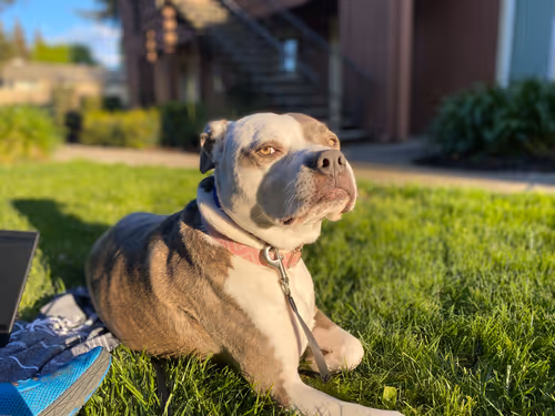 Item #31032485861556932047512782212507255574784711127847173487196557290716339896321 Media