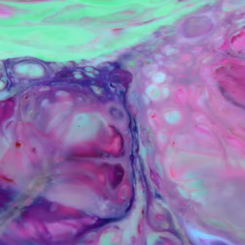 24074810528421772514233601070827590066402087809941770395158209009905794285569