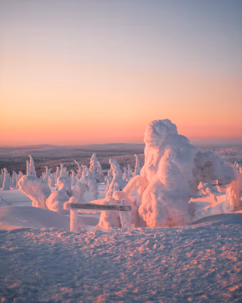 Item #85137439897558800446681939847979956921112818192745958846838338966656038993921 Media