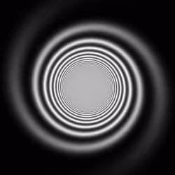 93861778054185867491888768788816511563865279646261390837547381122071204462593