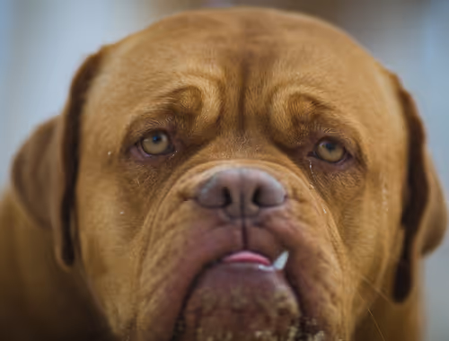 Item #96722404509651341404320943971918278257484839250108932769859130409445205475329 Media