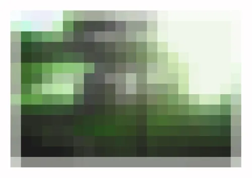 Item #26006970852974811269083528957310331529425969108020445640927452250265083707393 Media