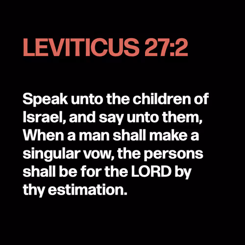 Item #22053356606985035317572807567829034573317121579682343289603637294492416999425 Media