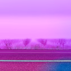 Fogtography #7