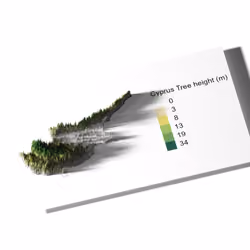 Canopy Height Map