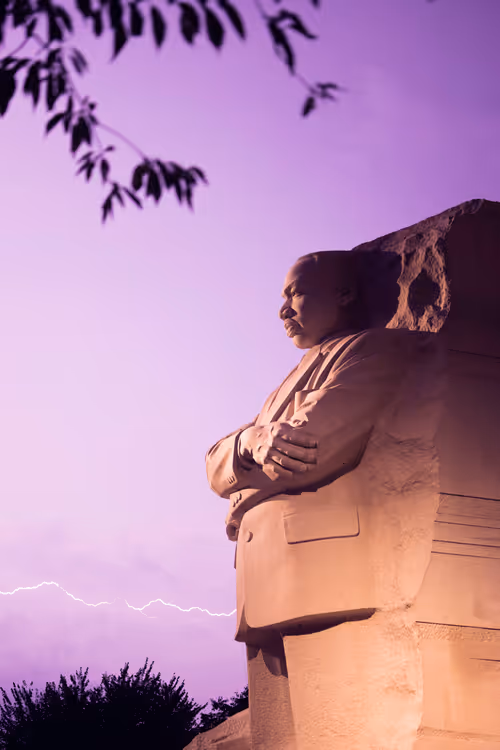 Item #19450169499538265930532855406348512223111390905412223129700176602734042021889 Media