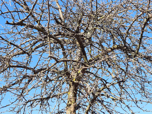 Item #13665938074563914331498291329920780757136253607588816979915017122181460000769 Media