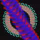 97646102768661301680762257266663654803866946110096937301561693638810172129281
