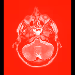 64162533542198579898252916190583583845604629893829087458582975912918273490945