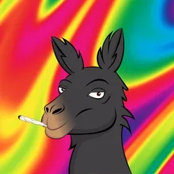 Funny Llama #004