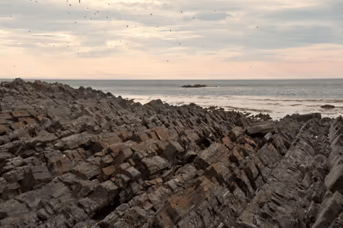 Saying Goodbye To The Summer