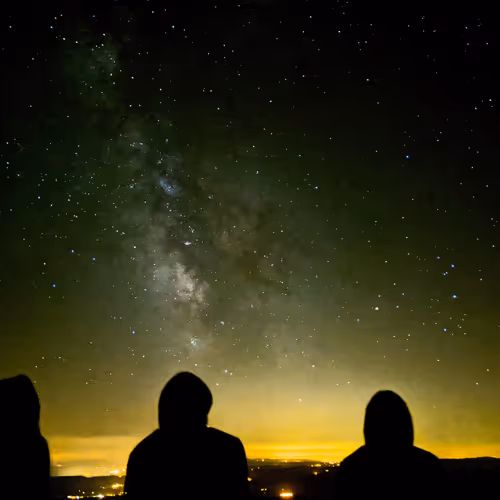 Untitled Collection #61038839