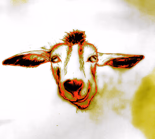 Item #58464231899672554220977429482409761262837585671771119037668409095917253165057 Media