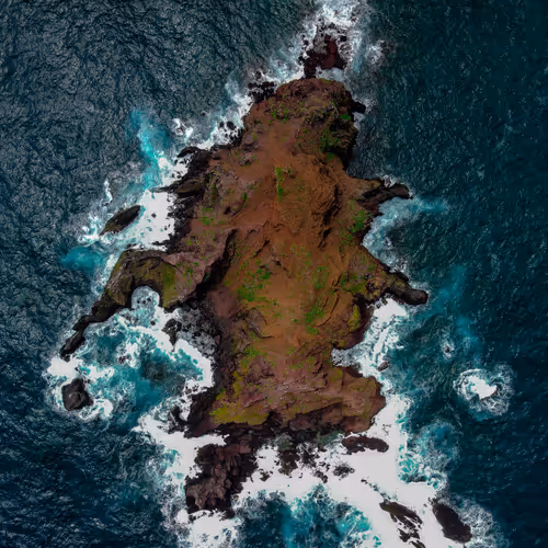 100600280271040798317723628260513137156606623100883316454227272239816942551041