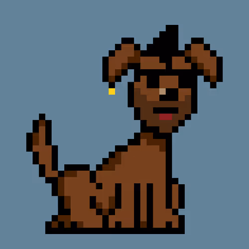 Punk Dogs
