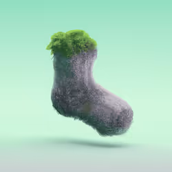 Sock 41