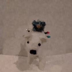 polar bear