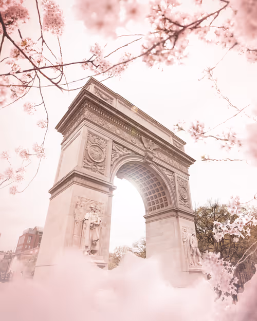 Item #66460689049240691187665992793349203300981892651978130427765601868162363555841 Media