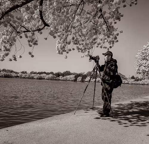 Item #26959255439957110233077989937802681477686360662735004345703791617827043016705 Media