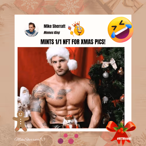 Mikes Crypto Memes