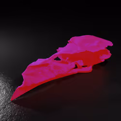 20250001323464517401306315509532802406644919304029953922967480044484382687233