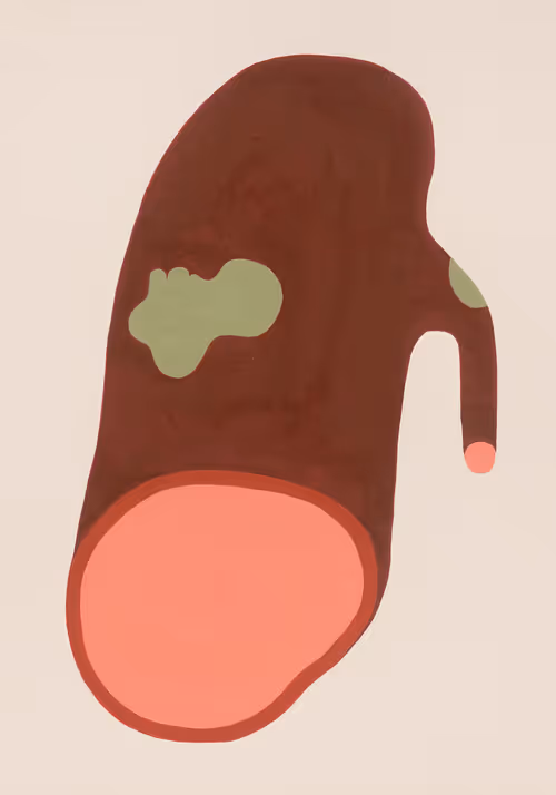 Item #28185994622152497426725328168764701897680889158428147508888235862392966217729 Media