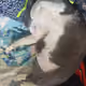 85960029897449293892798536593612207838886945858006362351764480134413786546177