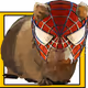 11956811942635422927171460162610099694714344402587762652016437329585344872449