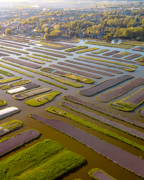 Item #3461261320663593426900354360876375017663922749216533272399435629033911484417 Media