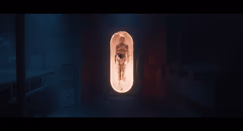 Deadcode