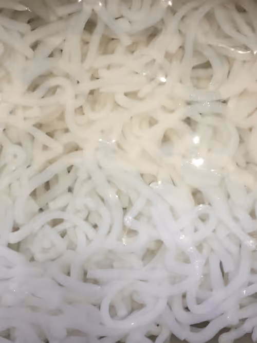 Item #96040857621548623282326574939458097993481777898920525483742573535099489353729 Media