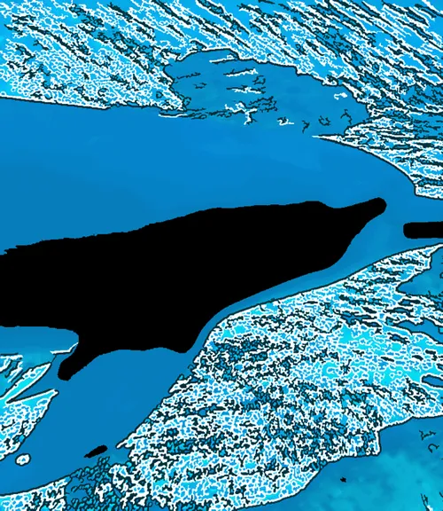 Item #93913250498272236724471848298339074761643801539036951794417632452451598598145 Media