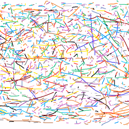 Untitled Collection #88507199