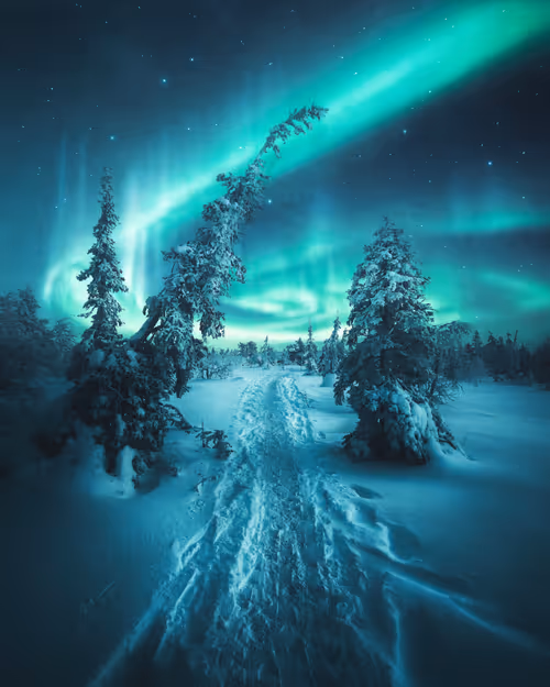 Item #134489906944514601836567189437532879130233761745768622289177283299433775105 Media