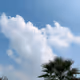 Lucky cloud
