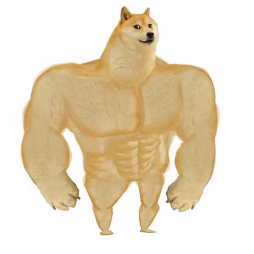 Strong Boy Doge