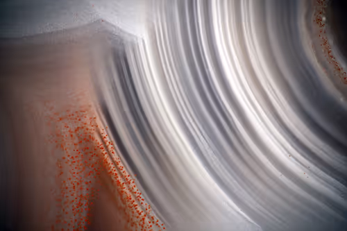 Item #76760594935064454251829113996962230117442052762635456780671601444358849560577 Media