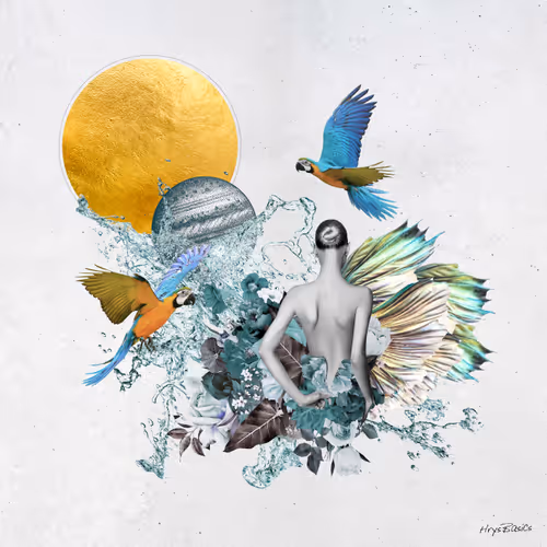 Item #93605795636469891791285979920851502115096995831581536409141751890464261275649 Media