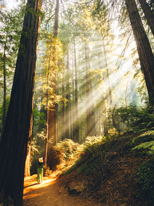 Item #99379921276153973634104125152908526548510783699959858376338453578802639405057 Media