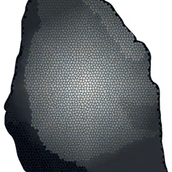 Rock ID 99