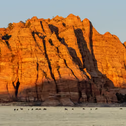 Alpenglow in Zion National Park